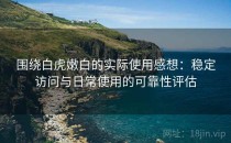 围绕白虎嫩白的实际使用感想：稳定访问与日常使用的可靠性评估