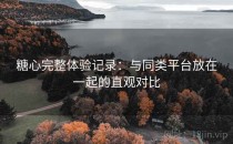 糖心完整体验记录：与同类平台放在一起的直观对比