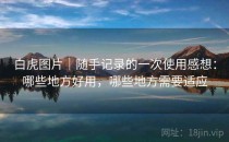 白虎图片｜随手记录的一次使用感想：哪些地方好用，哪些地方需要适应