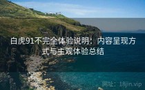 白虎91不完全体验说明：内容呈现方式与主观体验总结