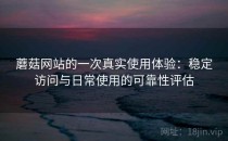 蘑菇网站的一次真实使用体验：稳定访问与日常使用的可靠性评估