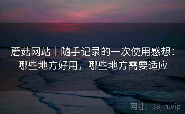 蘑菇网站｜随手记录的一次使用感想：哪些地方好用，哪些地方需要适应  第2张