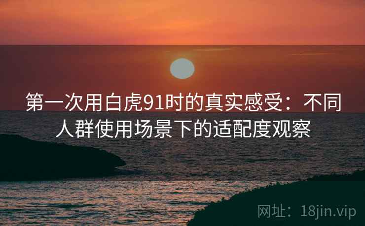 第一次用白虎91时的真实感受：不同人群使用场景下的适配度观察  第2张