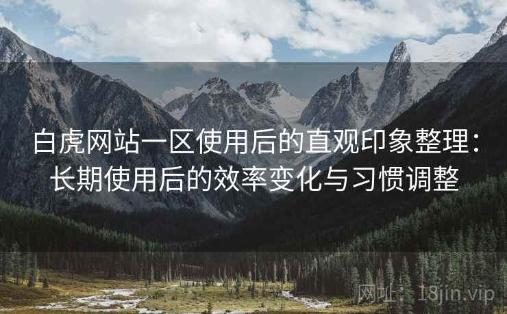 白虎网站一区使用后的直观印象整理：长期使用后的效率变化与习惯调整  第1张