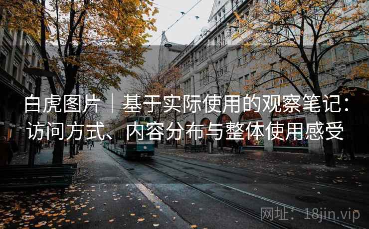 白虎图片|基于实际使用的观察笔记:访问方式、内容分布与整体使用感受 白虎图片|基于实际使用的观察笔记:访问方式、内容分布与整体使用感受