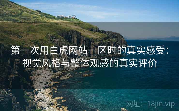 第一次用白虎网站一区时的真实感受：视觉风格与整体观感的真实评价  第1张