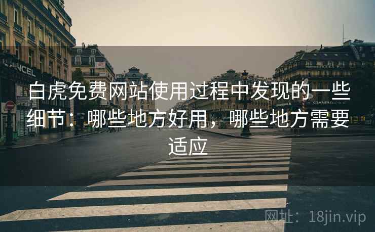 白虎免费网站使用过程中发现的一些细节：哪些地方好用，哪些地方需要适应  第2张