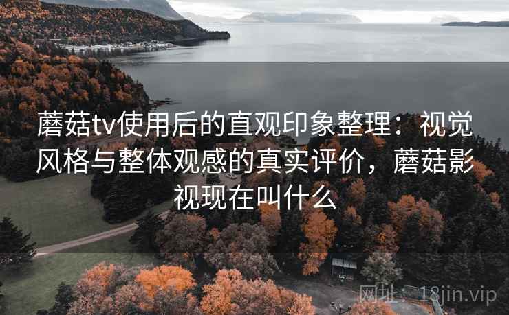 蘑菇tv使用后的直观印象整理：视觉风格与整体观感的真实评价，蘑菇影视现在叫什么  第2张