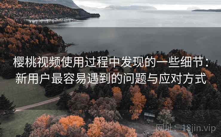 樱桃视频使用过程中发现的一些细节：新用户最容易遇到的问题与应对方式  第2张
