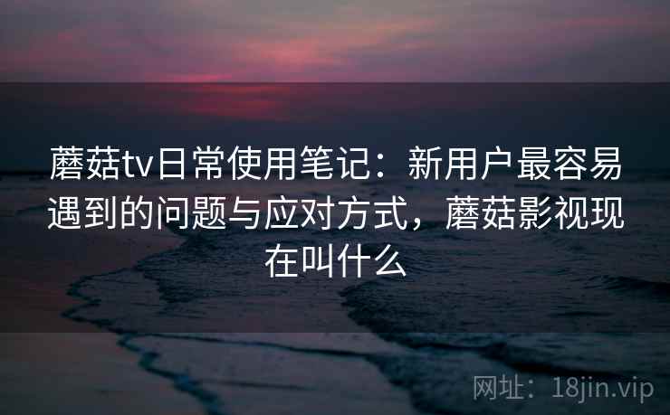 蘑菇tv日常使用笔记：新用户最容易遇到的问题与应对方式，蘑菇影视现在叫什么  第2张