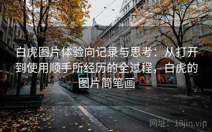 白虎图片体验向记录与思考:从打开到使用顺手所经历的全过程,白虎的图片简笔画 第1张 白虎图片体验向记录与思考:从打开到使用顺手所经历的全过程,白虎的图片简笔画 第1张