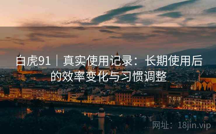 白虎91|真实使用记录:长期使用后的效率变化与习惯调整 第1张 白虎91|真实使用记录:长期使用后的效率变化与习惯调整 第1张