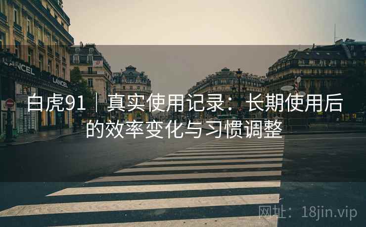 白虎91|真实使用记录:长期使用后的效率变化与习惯调整 第2张 白虎91|真实使用记录:长期使用后的效率变化与习惯调整 第2张