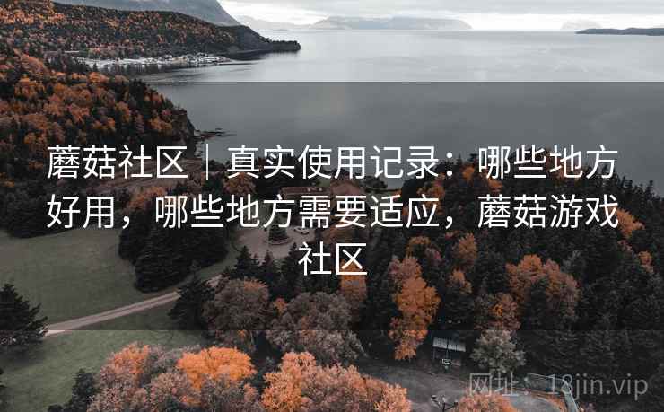 蘑菇社区|真实使用记录:哪些地方好用,哪些地方需要适应,蘑菇游戏社区 第2张 蘑菇社区|真实使用记录:哪些地方好用,哪些地方需要适应,蘑菇游戏社区 第2张